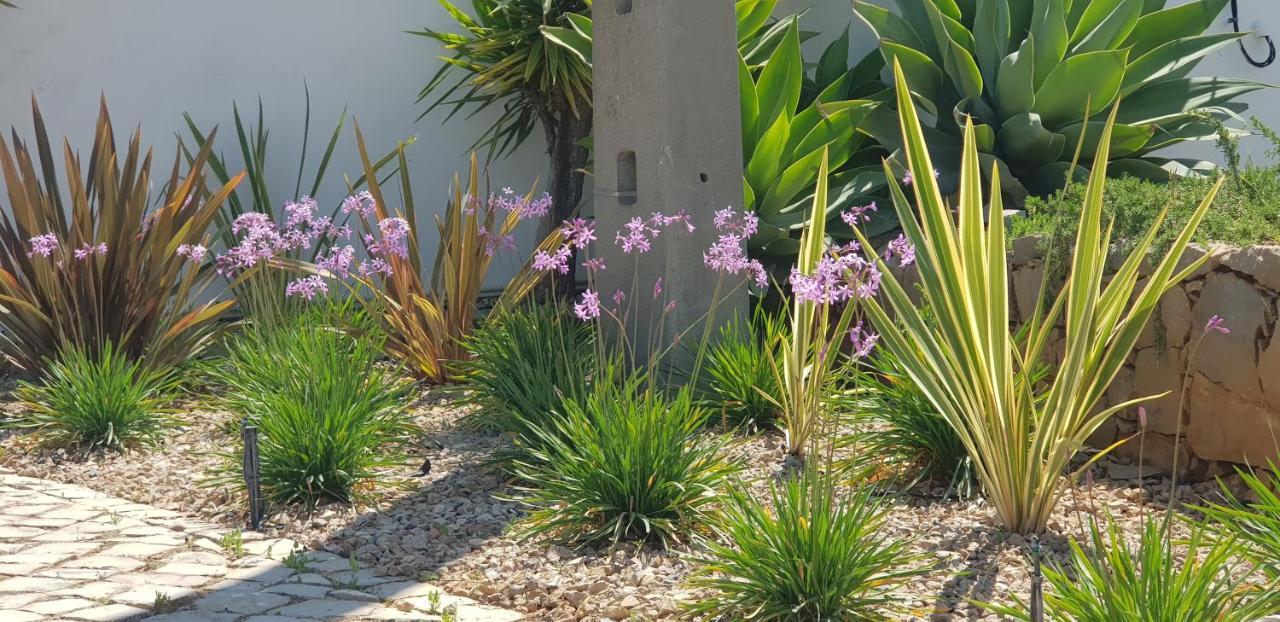Villa Quinta Da Violeta Loule Ngoại thất bức ảnh